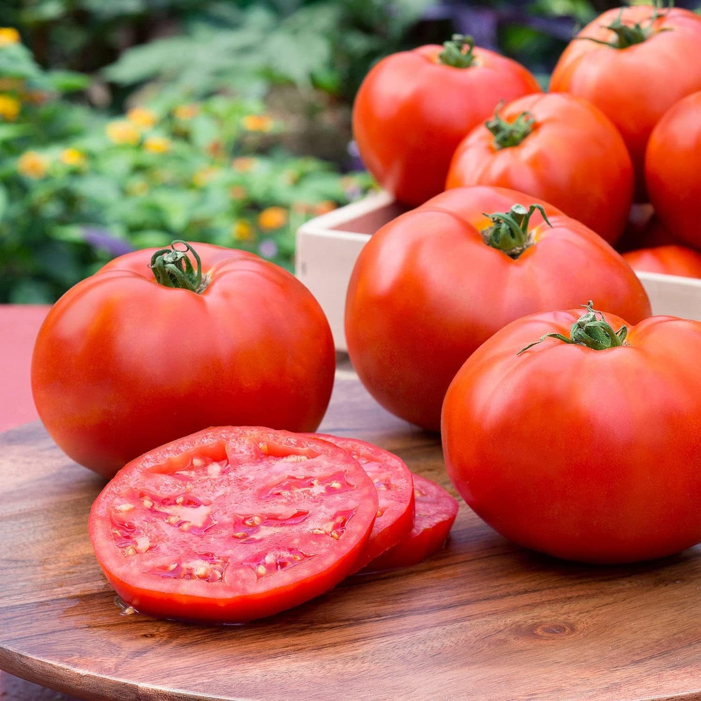 4 Pack 16 oz Bonnie Plants Better Boy Tomato: Live Vegetable Plants, Disease Resistant, Large Fruit Size, Non-GMO, Red