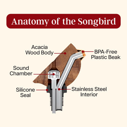 Songbird Specialties Wine Bottle Pourer, Fun Wine Pourer Spout Sings While It Pours, Airtight Wine Bottle Sealer, Acacia Wood with Turquoise Wings