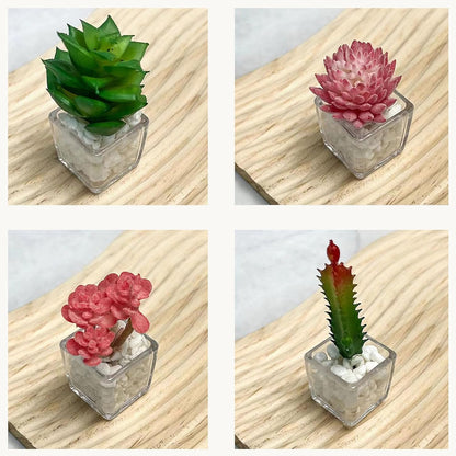 Plant Magnets for Fridge, Succulent Artificial Plants Refrigerator Magnets, Funny 3D Resin Decorative Set of 4