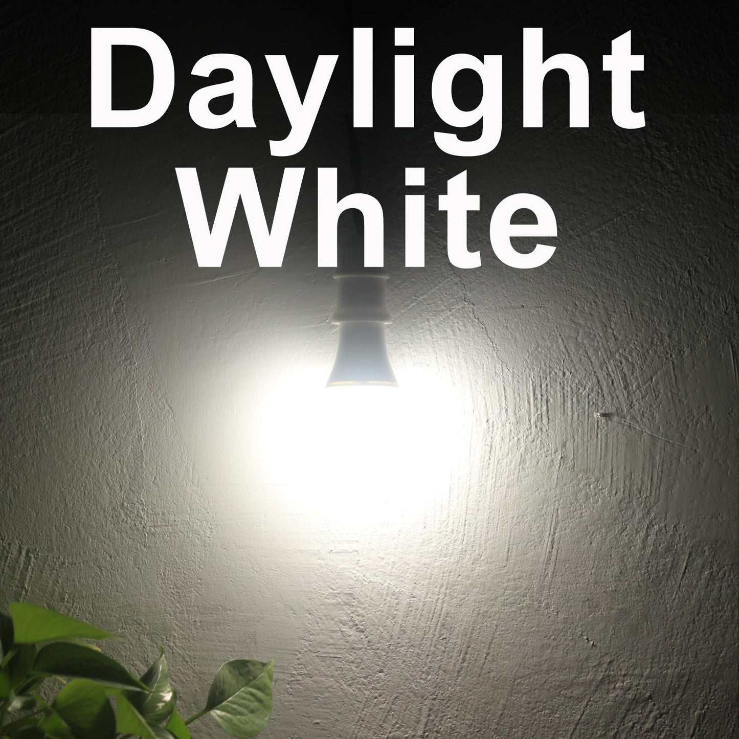 Dusk to Dawn Light Bulbs, Auto On/Off Light Sensing LED Bulbs Outdoor, Vintage Amber, Edison ST19 2-Pack, 6.5W 700LM 60W Equivalent, HQ-H027