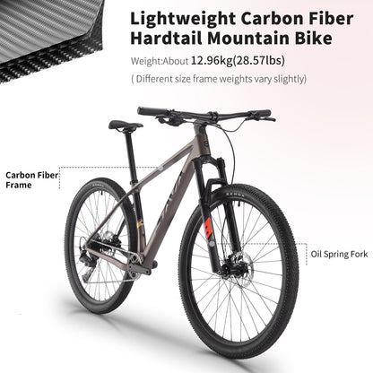 SAVADECK Carbon Fiber MTB with U6000 10 Speed Shift Groupset, Hydraulic Disc Brake with MT200 Break System (Rock Grey, 29 * 17)