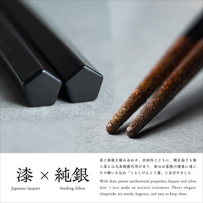 Kasyou Studio URUSHI KENKO chopsticks ( BLACK 8.9 Inch/22.5 cm ) made in japan (Dishwasher compatible) luxury chopsticks reusable japanese style gift set palillos chinos
