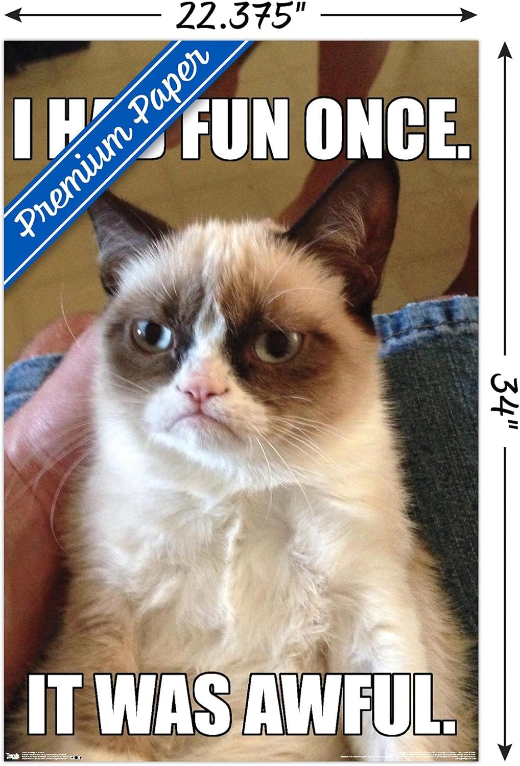 Trends International Grumpy Cat - Fun Wall Poster, Premium Poster & Clip Bundle, 22.375" x 34"