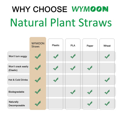 Biodegradable Straws made of Natural Plant | 200 PCS 7.8'' Compostable Eco-Friendly Drinking Straws Disposable | Durable for Hot & Cold Drinks