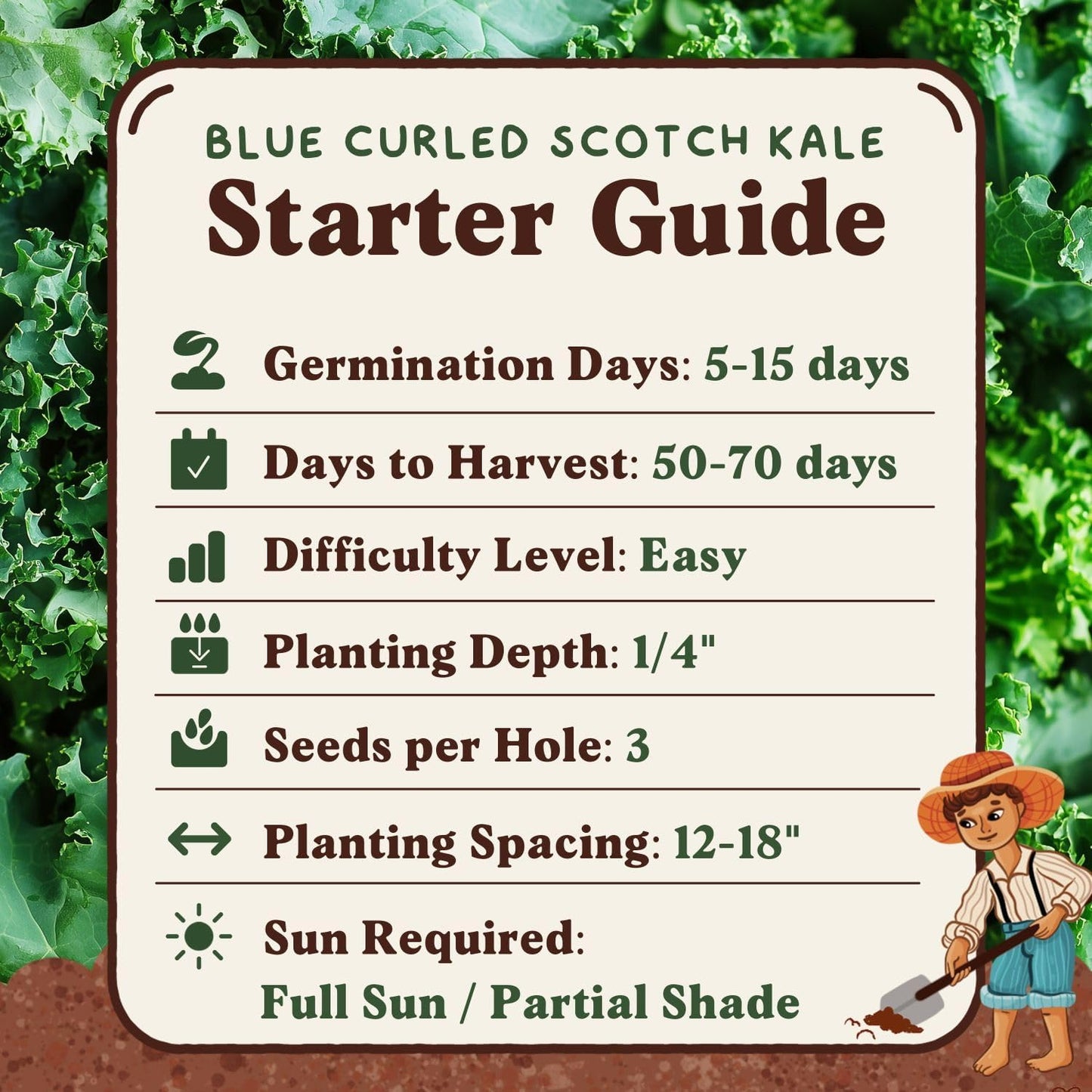 Packet Seedboy Organic Kale Seeds for Planting Indoor and Outdoor, Non-GMO and USDA Certified Vegetable Seed