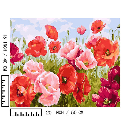 BAISITE Paint by Numbers Kit for Adults Beginners,20" Wx16 L Canvas for Painting Kits for Adults in Colorful Box Poppy Flowers-BSC001