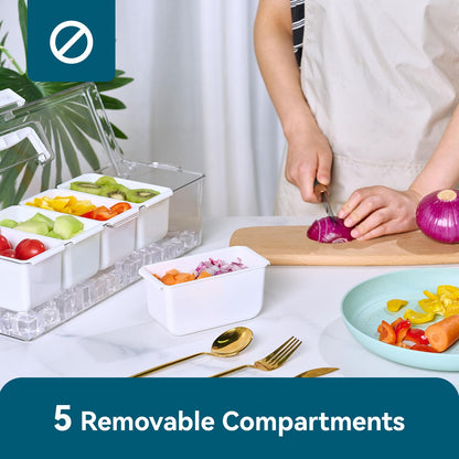 Luckore Chilled Condiment Caddy Server with 5 Removable Compartments Containers & Hidden Handle Design, Ice Chilled Condiment Tray Organizer, Clear Garnish Tray for Camping, Kitchen, Fruit, Salad