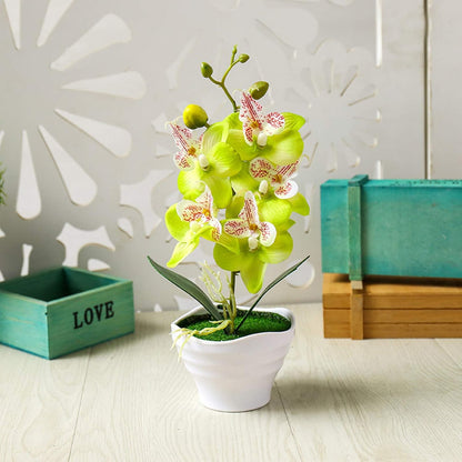 Artificial Phalaenopsis Flower Pot, Bonsai Ornament for Home Landscape Decor, White Flower for Beautiful Vitality