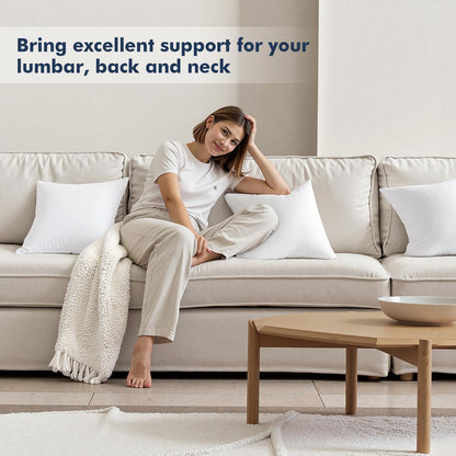 MIULEE Throw Pillow Inserts - Pack of 2, 28x28 Inch, 100% Virgin Fiber Filling for Bed & Couch