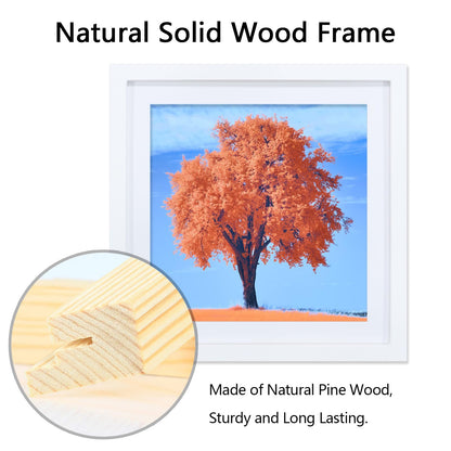 2 Pack 12x12 Picture Frame White, Solid Wood Diamond Art Painting Frames 30x30cm, Display Pictures 10x10 with Mat or 12 x 12 Without Mat, 12x12 Frame for Photos Posters Prints Artworks, Wall Hanging