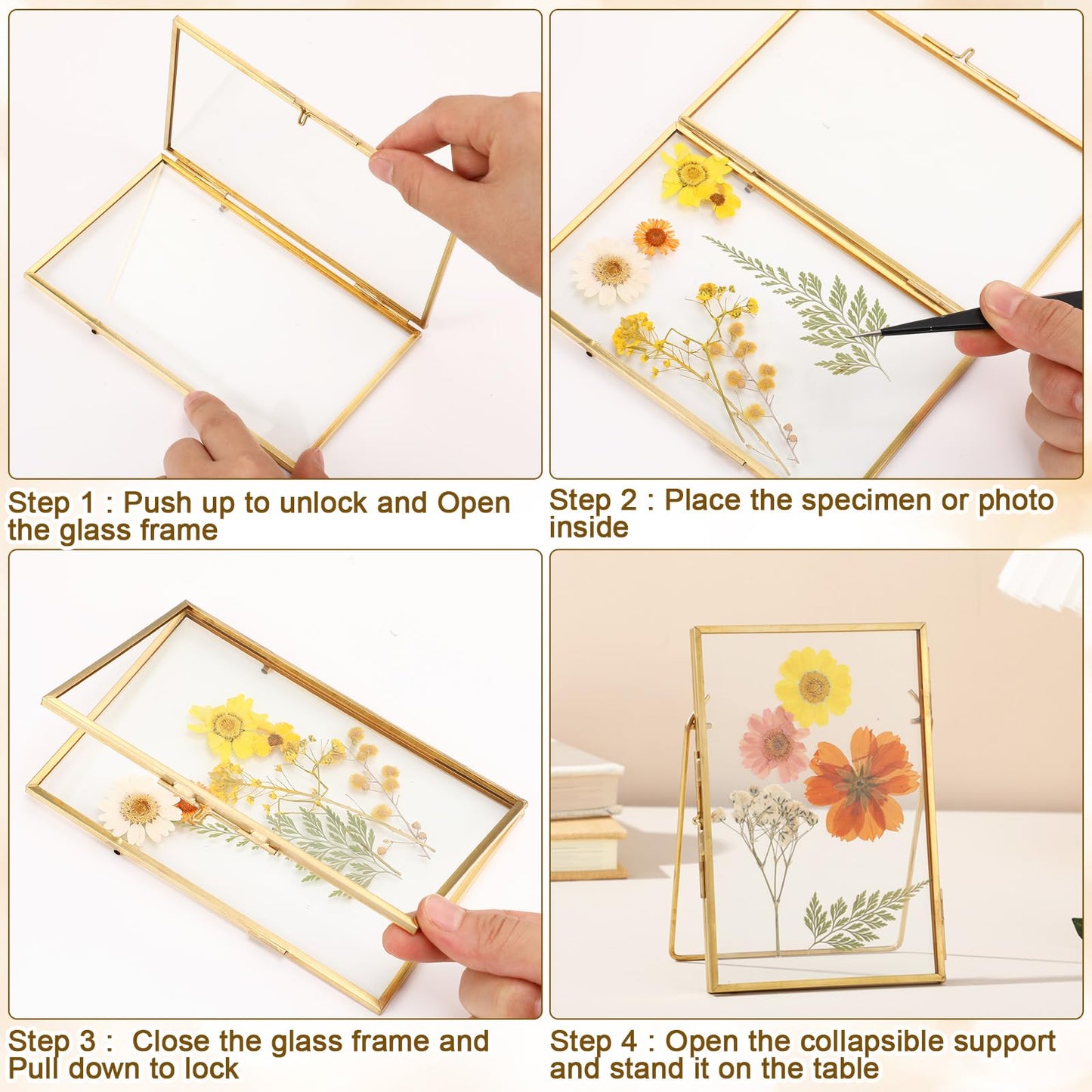 Vicenpal 3 Pack Glass Pressed Flower Frame Handmade, 4 x 6 floating Picture Frames for Pressed Flowers, Brass Double Glass for Tabletop Display, Home Office Plant Specimen, Photos(Gold)