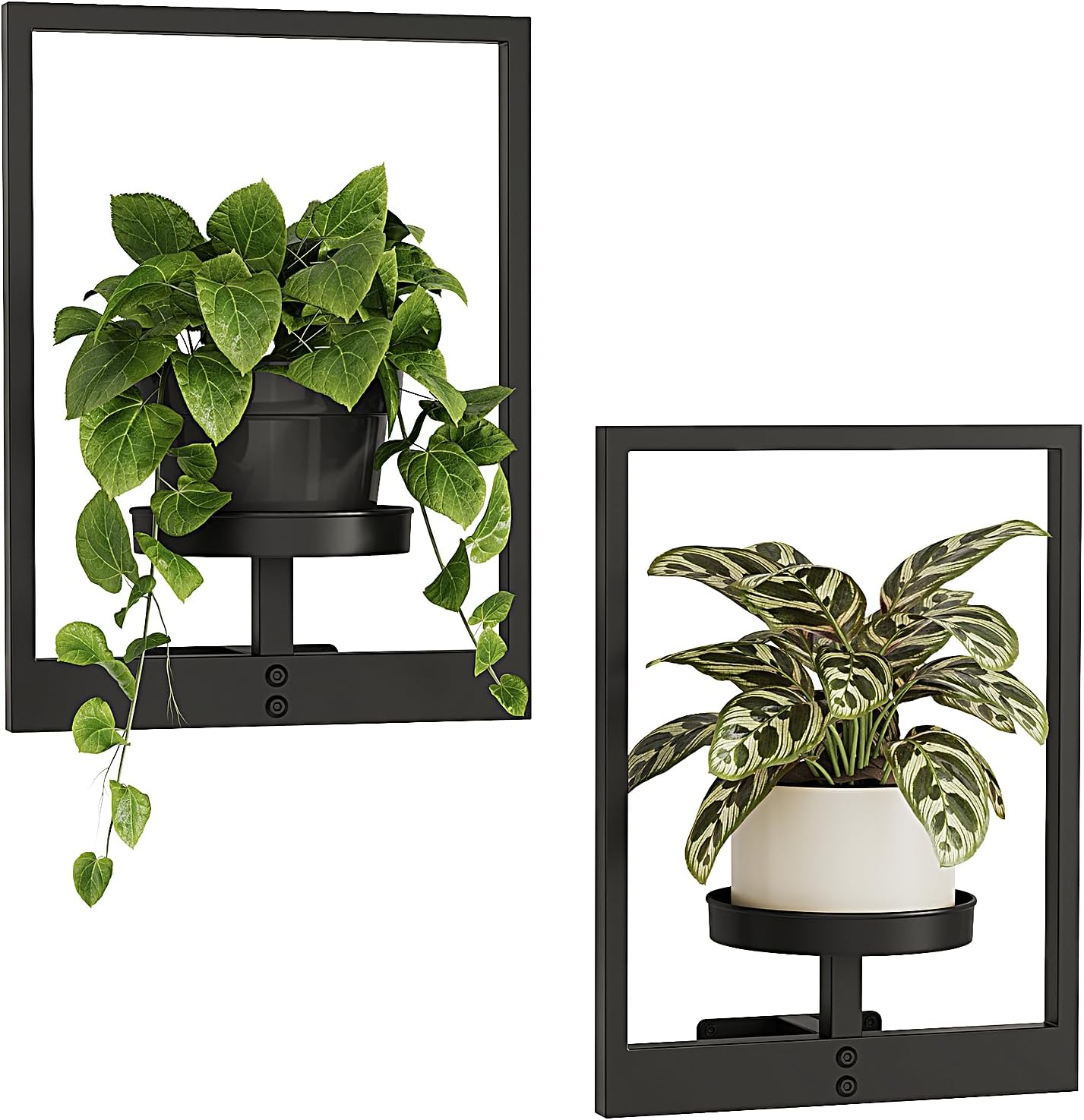2 Pack Bamworld Plant Stand Indoor Wall Decor Metal Plant Hanger Indoor Hanging Plant Holder Wall-Mounted Planters