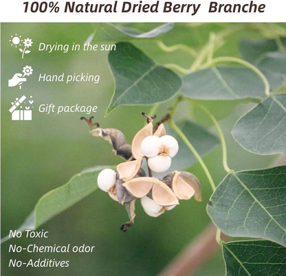 220g 17" 2 Tallow Berries Dried Christmas Decor- Natural Stem Wedding Floral Decor, White Holly Tallow Berries, Bundles