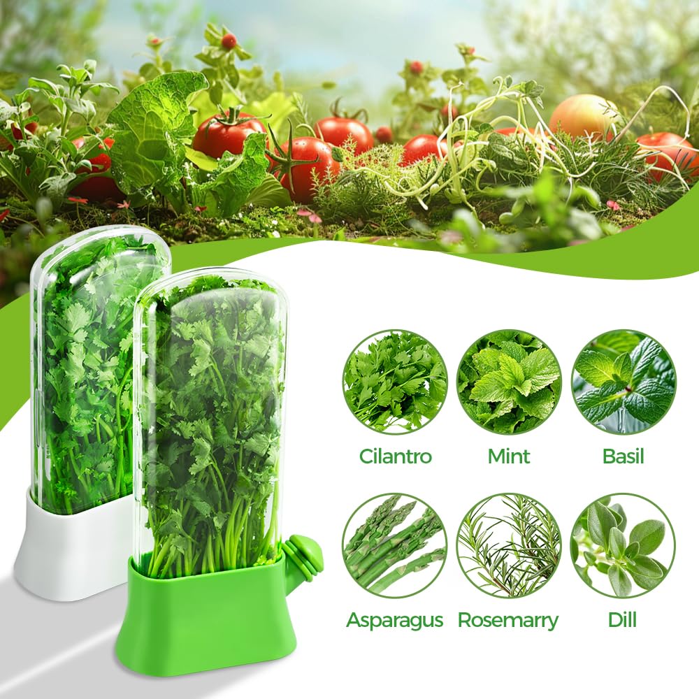 orimetre Herb Keeper for Refrigerator – Lettuce & Cilantro Container, Fresh Vegetable Saver Pod, Storage Bottle & Fresh-Keeping Box for Spinach, Asparagus, Celery, Mint (White)