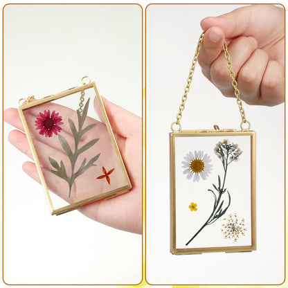 Kigley Double Glass Frame for Pressed Flowers Floating Hanging Photo Frame Gift for Graduation Mother's Day 3.5 x 2.5 in Brass Clear Decor with Chain for Display Gallery Artwork (Gold,12 Pcs)