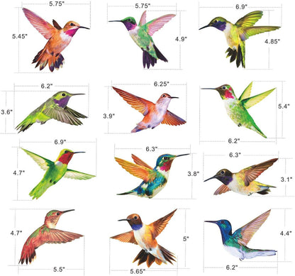 Anti-Collision Window Clings Bird Alert Decals to Prevent Bird Strikes on Glass - Set of 12 Hummingbirds