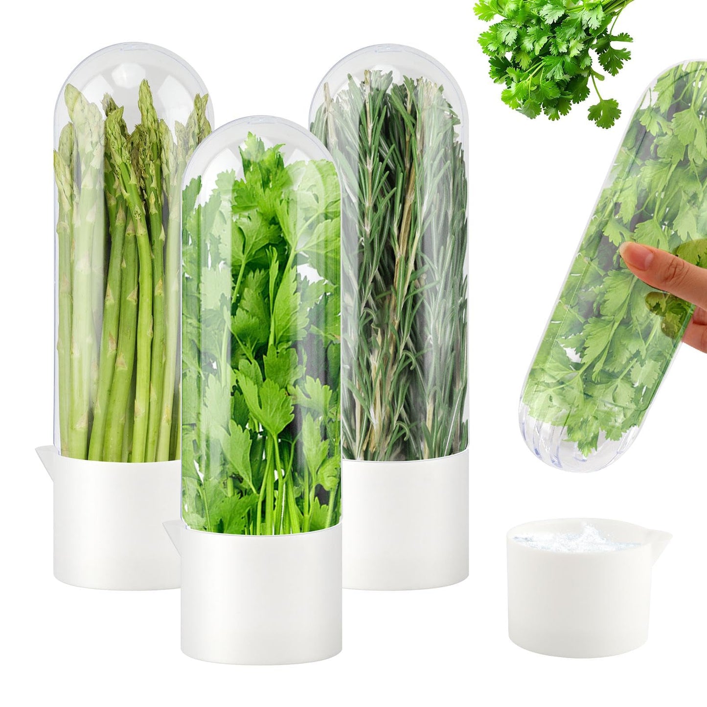 DiQiRenQin 3 Pack Cilantro Container for Fridge, Vertical Herb Keeper for Refrigerator, ABS Herb Saver for Fresh Herbs (Parsley, Mint), White