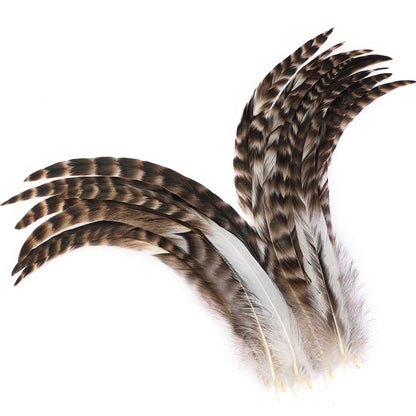 Holmgren Natural Chinchilla Feathers Bulk - 60pcs 12-14inch Natural Long Rooster Chinchilla Tail Feathers Bulk for DIY Crafts Hats Costume, Holiday Themed Party Decoration (Chinchilla)