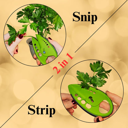 TEN73 2-in-1 5-Blade Herb Scissors & Herb Stripper Set | 10-Hole Leaf stripper Stem Remover + Stainless Steel Herb Shears with Safety Cover & Cleaning Comb | Dishwasher Safe Kitchen Tool for all Herbs