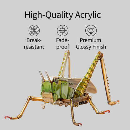 HELLOTOY 3D Acrylic Insects Puzzles DIY Bug Model Kit for Teenagers Educational Display Nature Decoration Figurine Sculpture (Grasshopper)