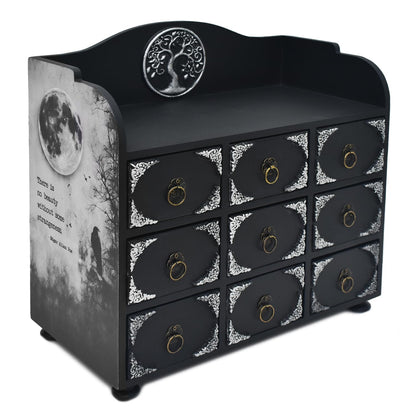 IRISVITA Black Rustic Gothic Jewelry Box With 9 Drawers, Edgar Allan Poe Poems Cabinet of Curiosites, Gothic Decor, Gift for Poetry/Goth Fans
