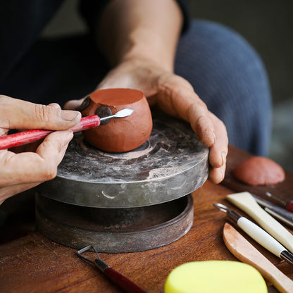 SHENOMAD 17PCS Clay Sculpting Tools with Wire Pottery Modeling Ceramics Polymer Tools Set for Air Dry Clay Carving Molding Pottery Crafting Beginners