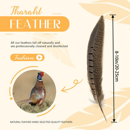 THARAHT 24pcs Male Ringneck Pheasant Tails Feathers Natural Feathers 8-10inch 20-25cm for Crafts Home Wedding Party Performance DIY Decoration Male Pheasant Feathers