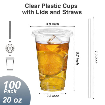 Dealusy 100 Pack - 20 oz Clear Plastic Cups with Lids and Straws, Sturdy & Food Safe Iced Coffee Cups with lids, Disposable Plastic Smoothie Cups for Cold Drinks