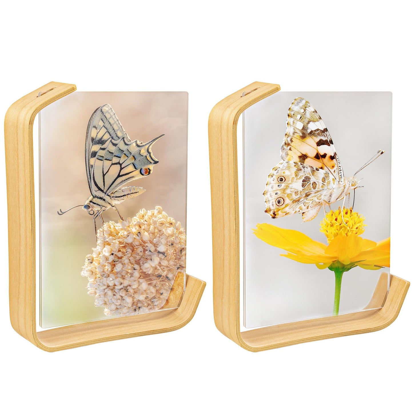 Framendino, 2 Pack Wood Picture Frame 5x7 Inch Acrylic Wooden Photo Floating Herbarium Display Frames for Wedding Party Home Decor