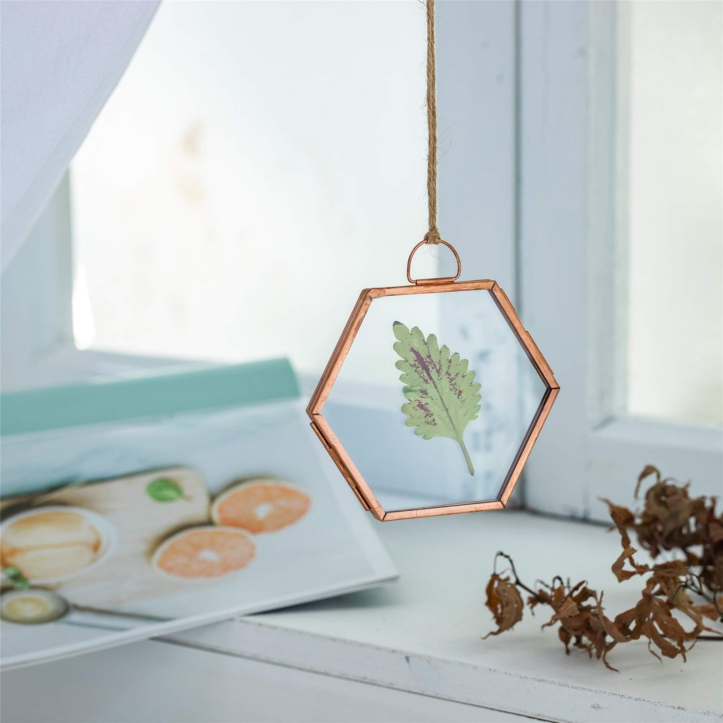 NCYP Hanging Small Rose Gold Hexagon Herbarium, Side Length 1.9 inches Handmade Copper Floating Frame for Pressed Dried Flowers Plants, Double Glass, Wall Decor, Glass Frame Only