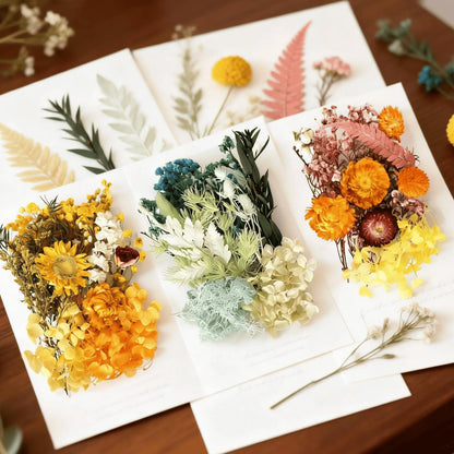 QinXunTa 2PCS Dried Flowers Kit, Natural Dried Flowers Kit for DIY Crafts, Scrapbook, Card Making (Style18_24_27)