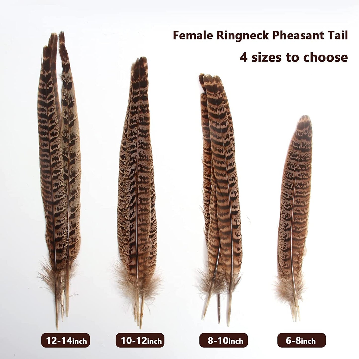 20pcs Female Pheasant Feather Natural Ringneck Tails Feathers 6-8inch 15-20cm for Crafts Home Wedding Party Performance DIY Decoration Pheasant Feather,Female Pheasant Feathers
