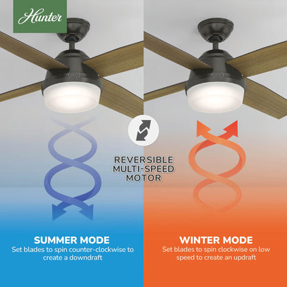 Hunter 52 inch Indoor Ceiling Fan with LED Light and Remote Control - Bronze Modern Ceiling Fan, Standard Mount, 4 Blades, For Bedroom, Living Room, or Kitchen, Quiet - Dempsey 59446, Noble Bronze