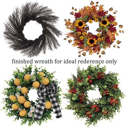 Doulewin 2PCS 16 inch Artificial Plastic Sun Vine Wreath Base Craftsmanship, Rustic Plain Twig Wreath Making Supplies Base for Decor