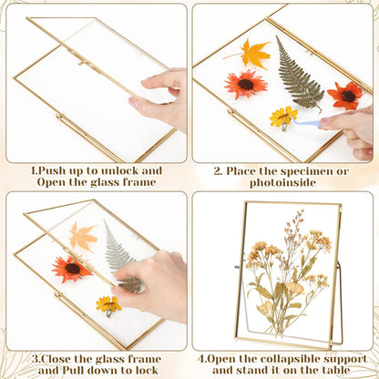 Vicenpal 3 Pack Glass Pressed Flower Frame Handmade, 6 x 8 Floating Picture Frames for Pressed Flowers, Brass Double Glass for Tabletop Display, Home Office Plant Specimen, Photos(Gold)