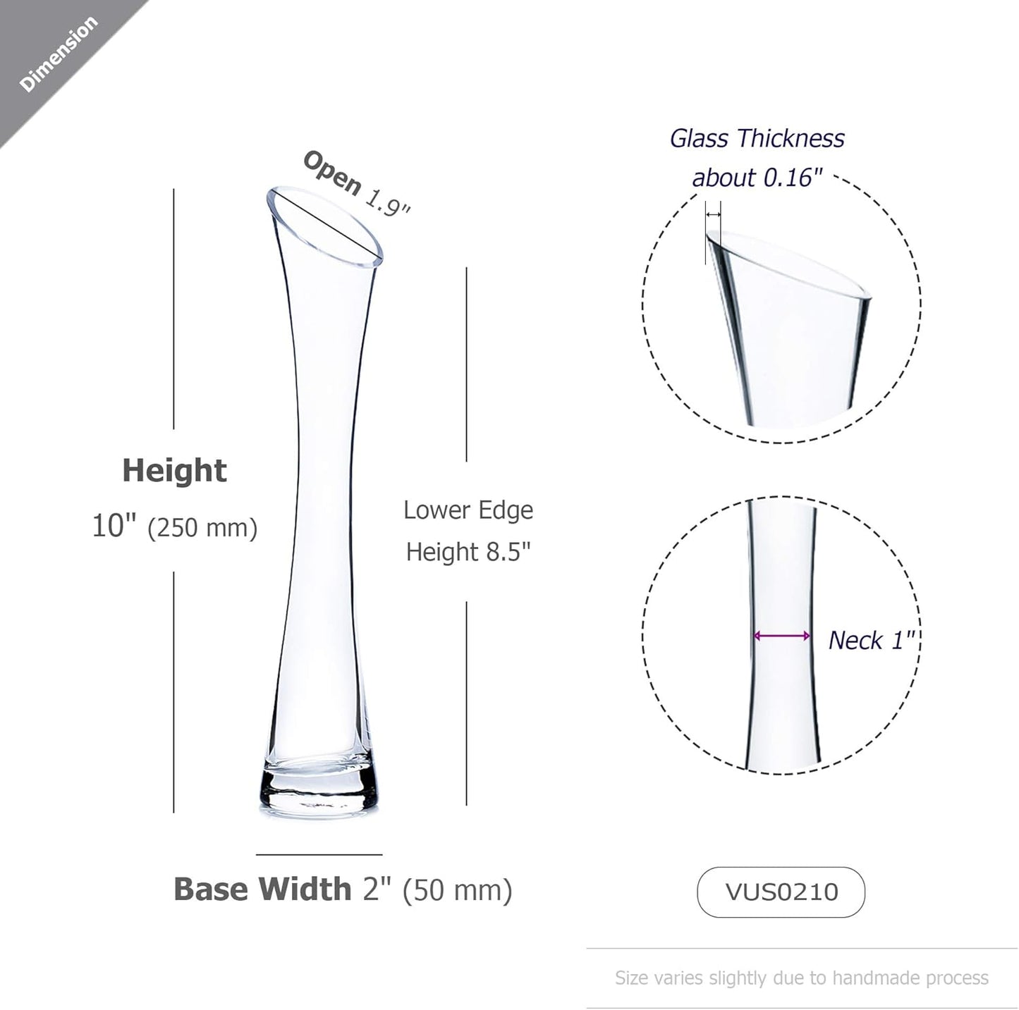 WGV Maria Bud Vase, 2" Width, 10" Height, Clear Slant Cut Opening Glass Floral Container for Decor
