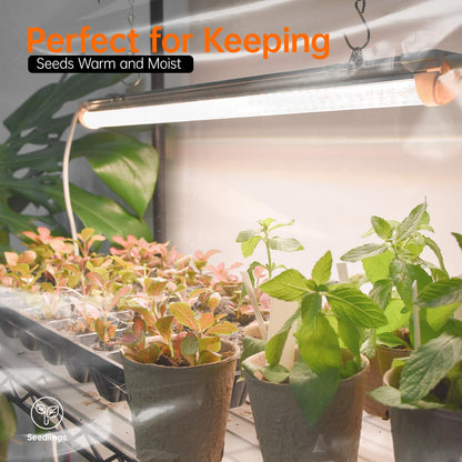 Bstrip Indoor Greenhouse with Grow Light, Large Plant Shelf with 8 Pack T8 Full Spectrum Plant Lights and Cover, mini Greenhouse for Indoor Plant, Seed Starting (58" L x 13.8" W x 59" H)