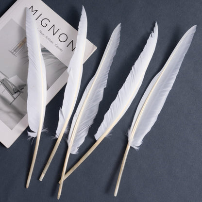 Natural Goose Feathers,Bulk 50 pcs Long 10-12Inch (25-30cm) White Feathers for Crafts,Mardi Gras Decorations,Angel Wings,DIY Handicrafts,Feather Decoration Accessories (Pure White)