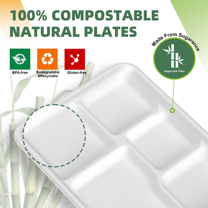 WELLIFE 125 Pack Kids Small 5-Compartment Paper Plates, 10.25x8.25 Inch 100% Compostable Divided Plates, Disposable School Lunch Trays, Eco-Friendly Bagasse Plate for Boys Girls and Youth (BPA Free)