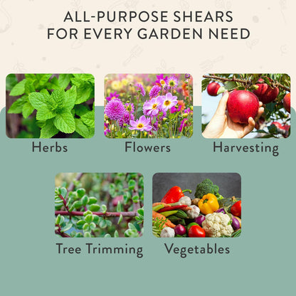 Modern Sprout Pruning Shears, Herb Snipping Scissors, Lightweight Gardening Tools W/Easy Lock, Flower Cutter Garden Shears, Carbon Steel Blade + Reusable Holster (Green, 1-Pack)