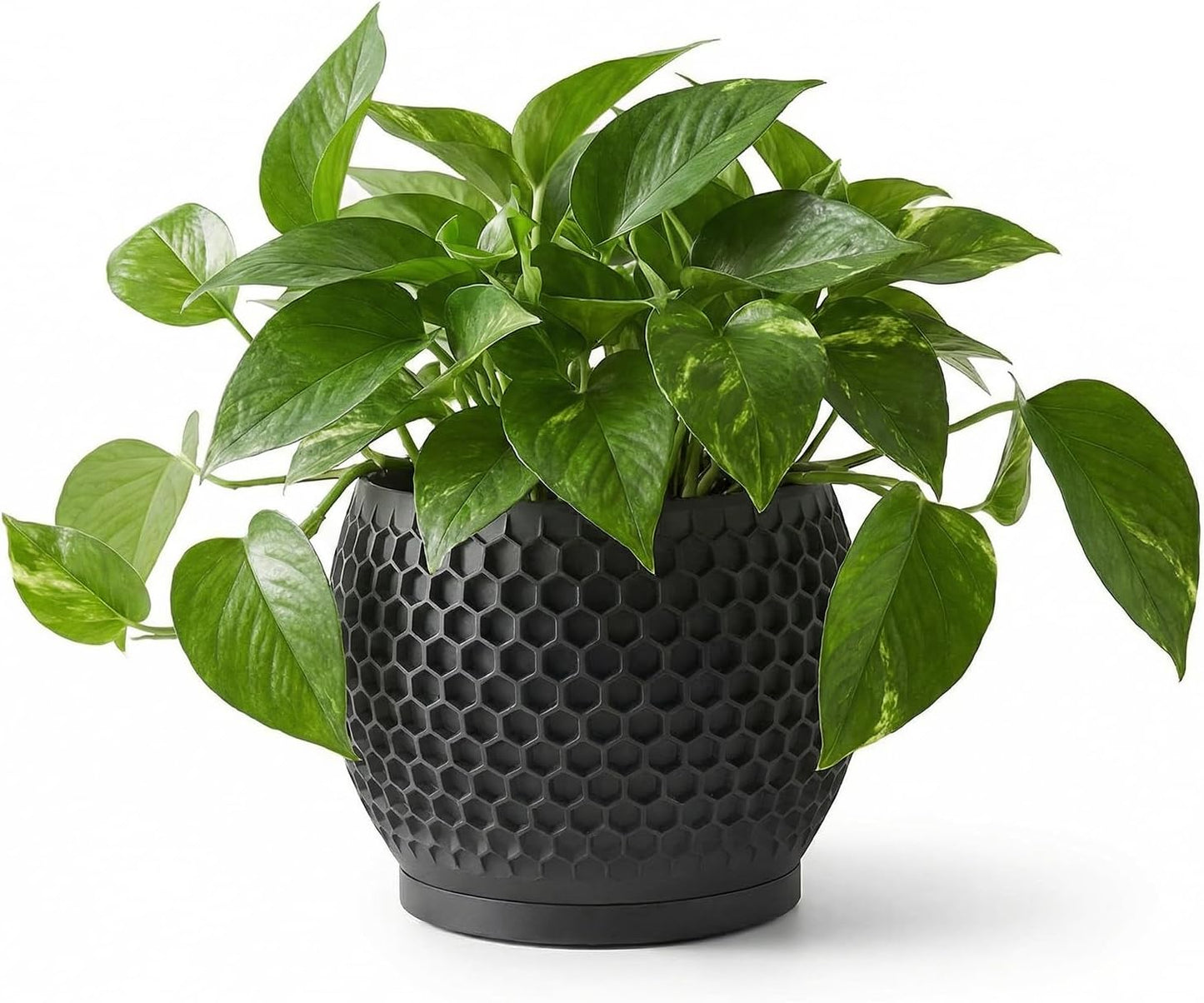 Fabix3D 3D 4.7 Inch Plant Pots, Modern Printed Honeycomb Planters for Indoor Plants, Matte Black Decorative Flower Pot