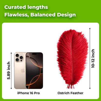 Piokio 20pcs Natural Red Ostrich Feathers 10-12 inch (25-30cm) Bulk Feathers for Wedding Party Centerpieces, Home Decoration and DIY Clothing, Gatsby Decorations