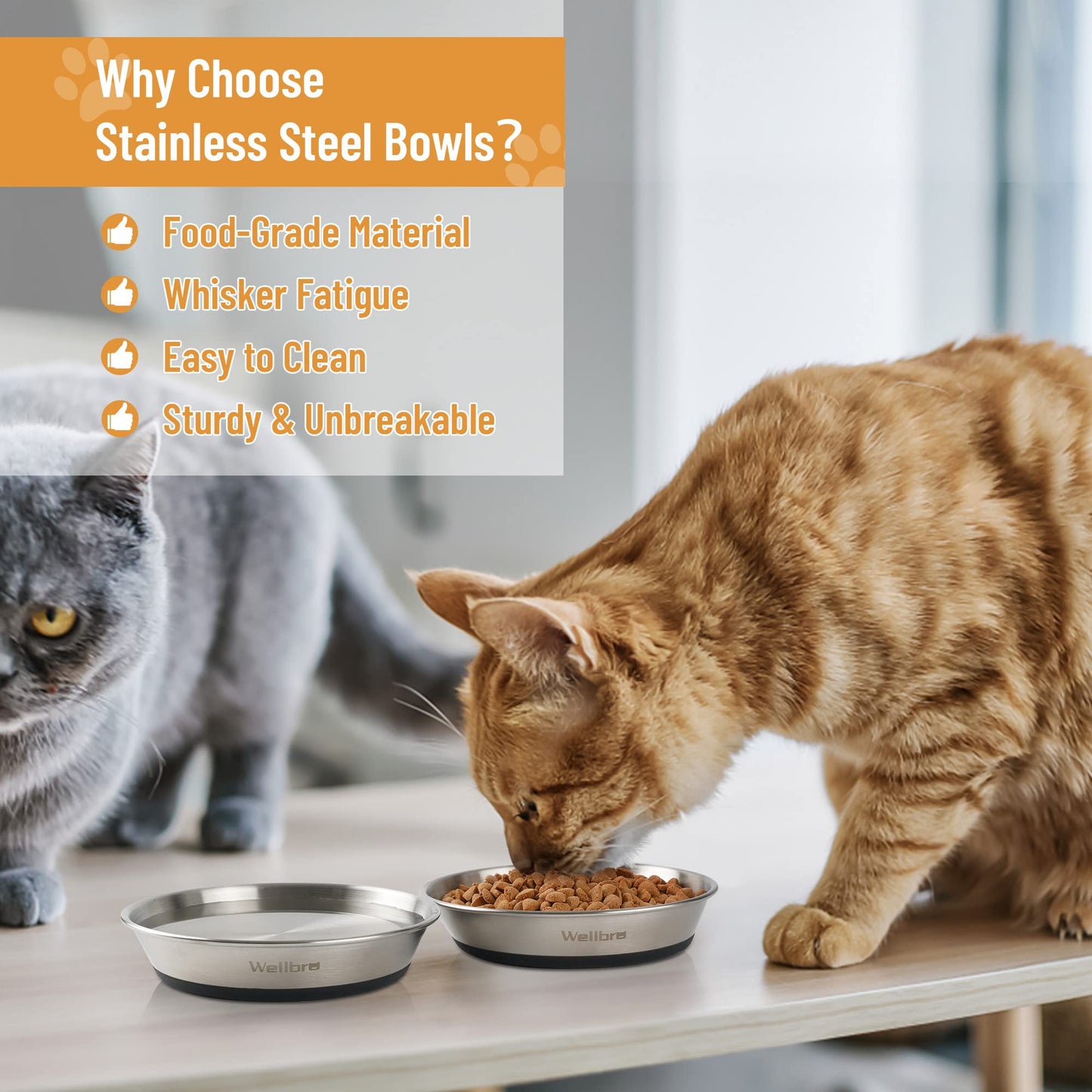 Wellbro Cat Bowls, 2 Pcs Stainless Steel Cat Bowls for Food and Water, Whisker Fatigue Shallow Non-Slip Dishes Plates for Small Dog Puppies Cats