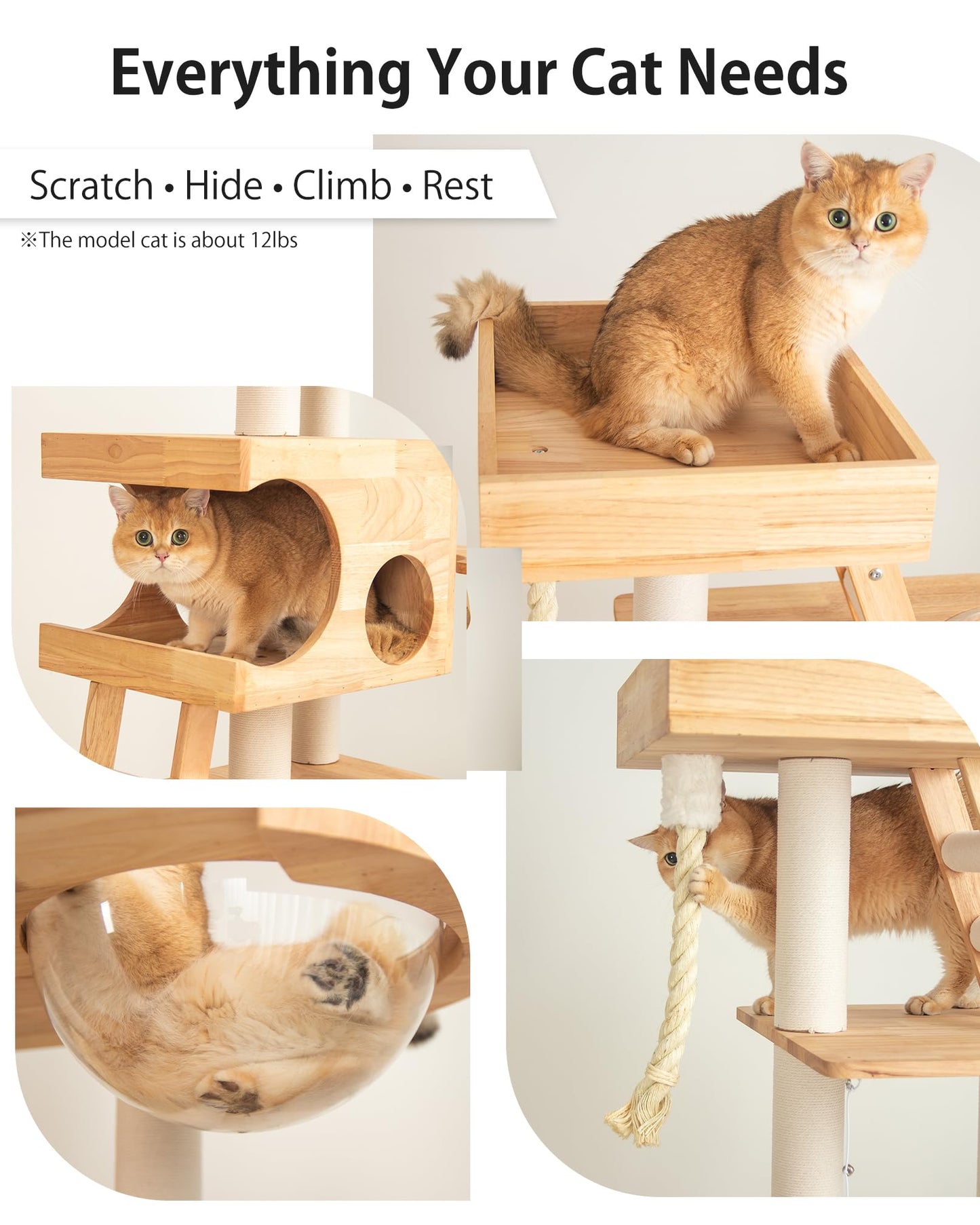 PETTIFUL Wood Cat Tree for Large Cats, 62-Inch Tall Modern Cat Tower with Condo & Scratching Posts - Easy to Clean, Heavy-Duty, Furniture-Grade Design for Stable Climbing, Eco-Friendly (White 62'')