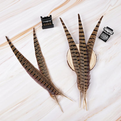 MAOFENG 12pcs Natural Feathers Male Ringneck Pheasant Tails Feathers 8-10inch 20-25cm for Crafts Wedding Party Performance Home DIY Decoration,Male Pheasant Feathers