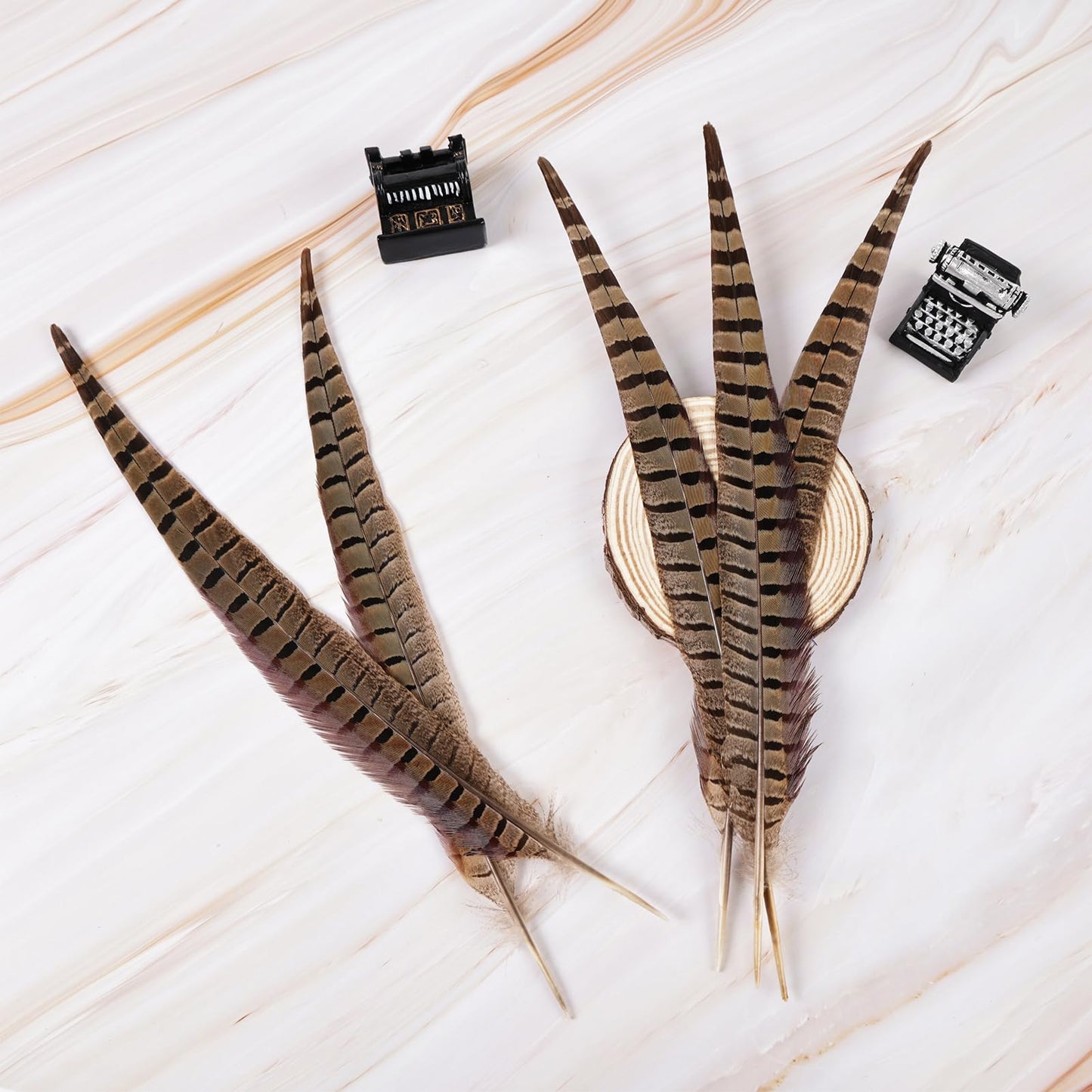 MAOFENG 12pcs Natural Feathers Male Ringneck Pheasant Tails Feathers 10-12inch 25-30cm for Crafts Wedding Party Performance Home DIY Decoration,Male Pheasant Feathers