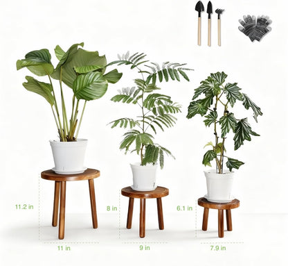 AMVAQKER 3 6-15 Inch PCS Wood Plant Stands Indoor, Three Sizes of Plant Stands Suitable for Pots, Single Plant Holder