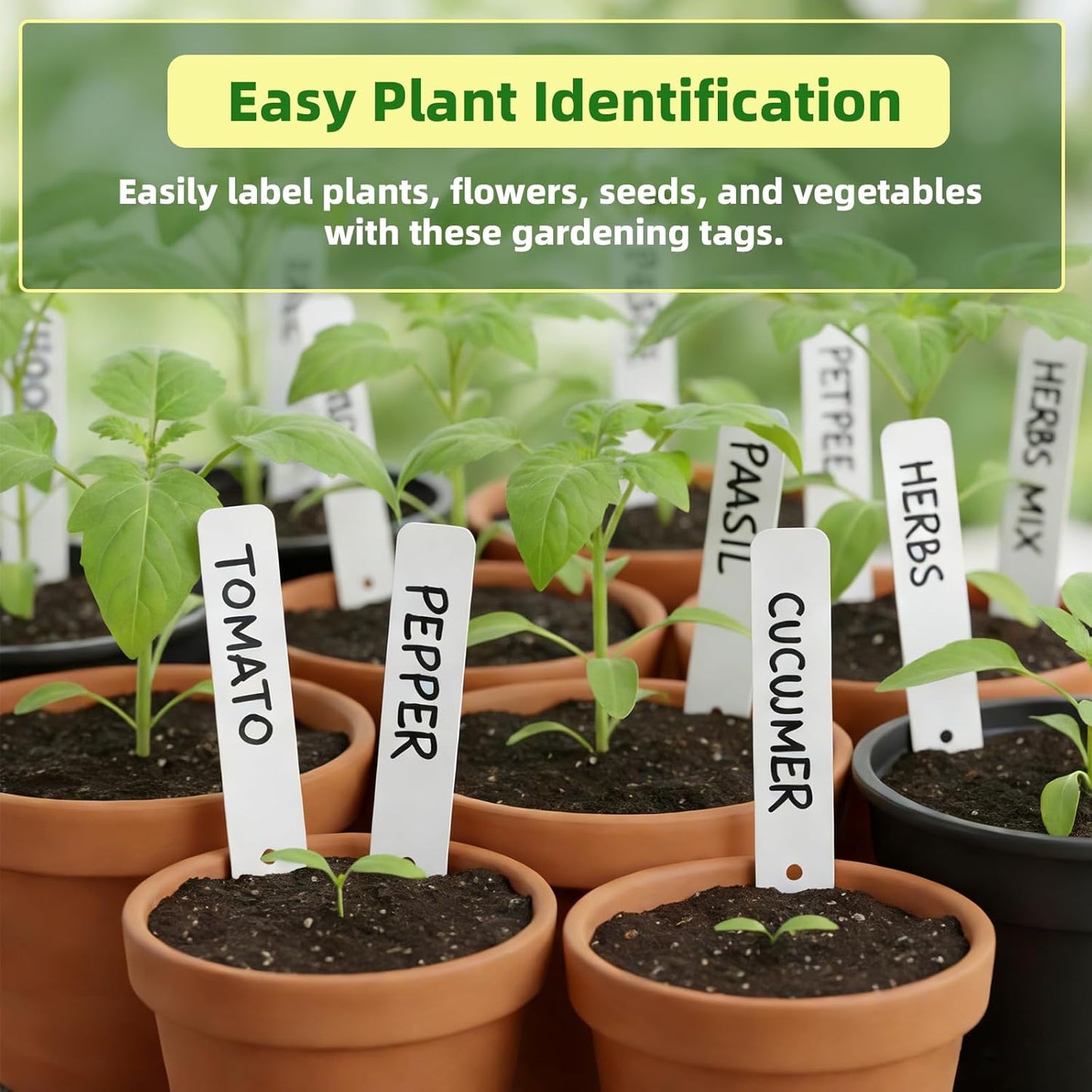 EMBRASUN 350 (350PCS) Plant Labels PCS, Slim White Garden Plant Tags with Holes, PP Plastic Waterproof Labels