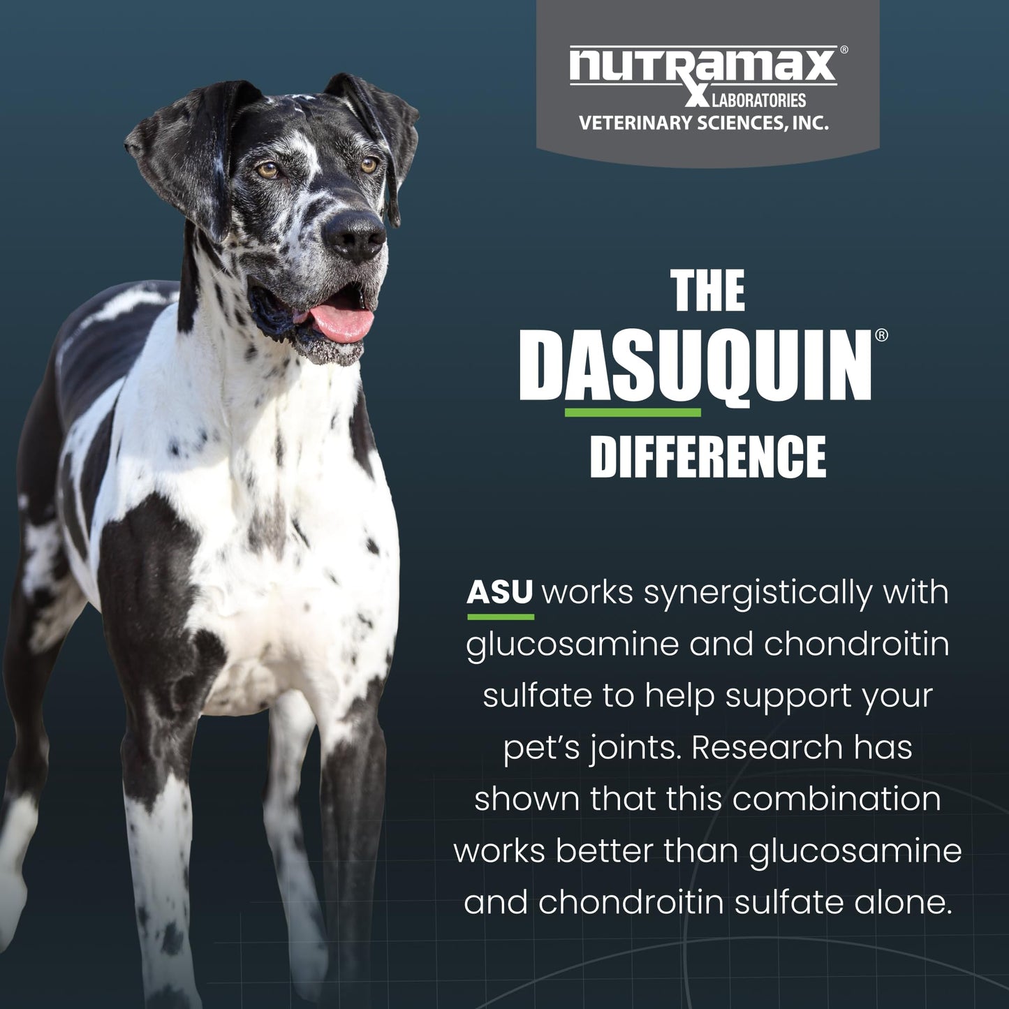 Nutramax Laboratories Dasuquin with MSM Soft Chews Large Dog 84 Count, brown