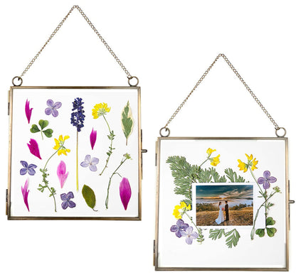 Beedecor Glass Frame for Pressed Flowers, Leaf and Artwork - Hanging Square Metal Picture Frames, Clear Double Glass Floating Frame, Wall Decor Photo Display, Set of 2 Flower Press Frames with Chain